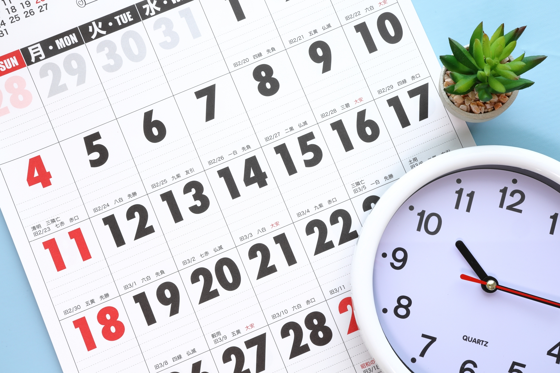 争奪戦必至！！春休み合宿免許は早めの予約が鍵！失敗しない選び方