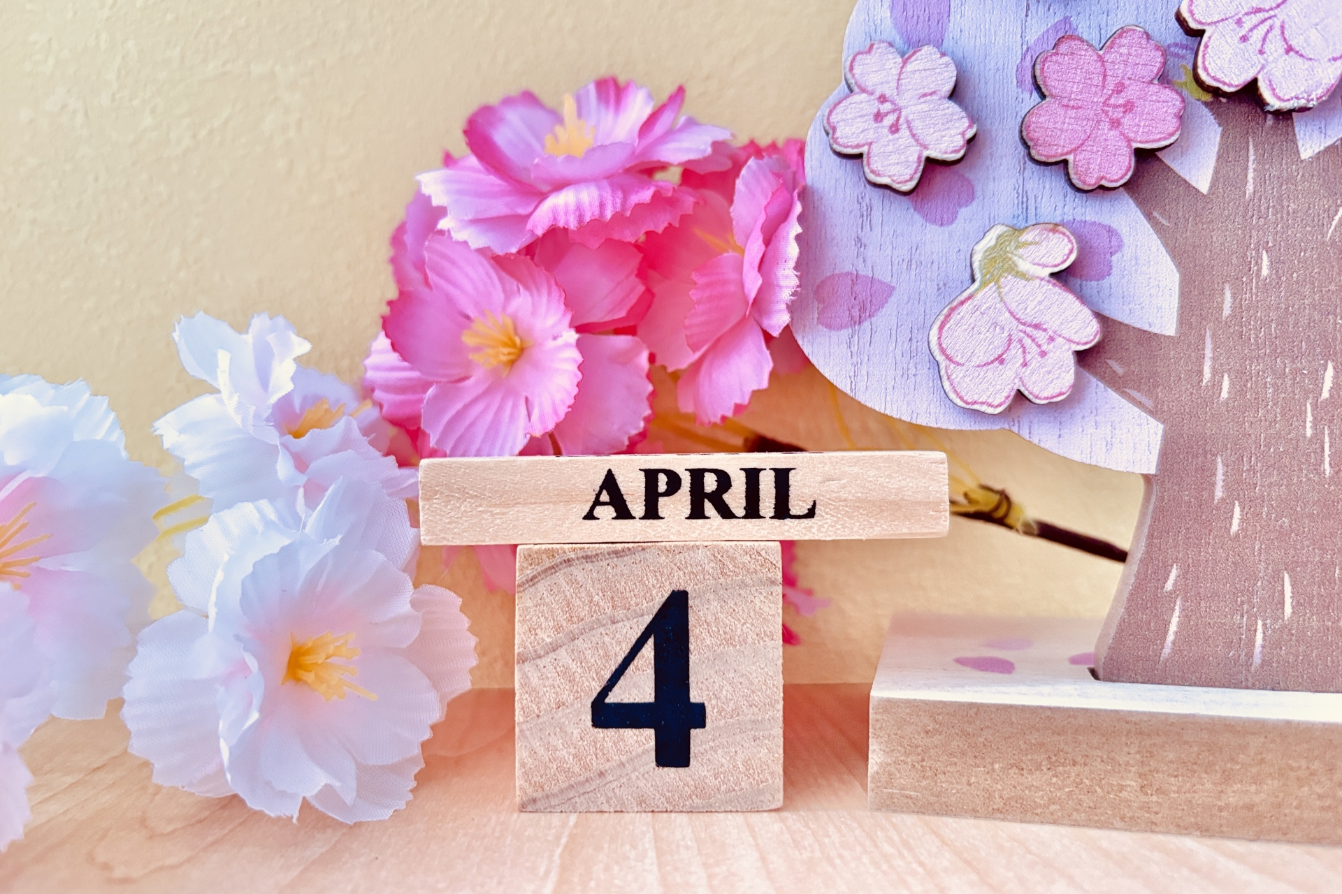 4月合宿免許は狙い目！お得な春の合宿免許