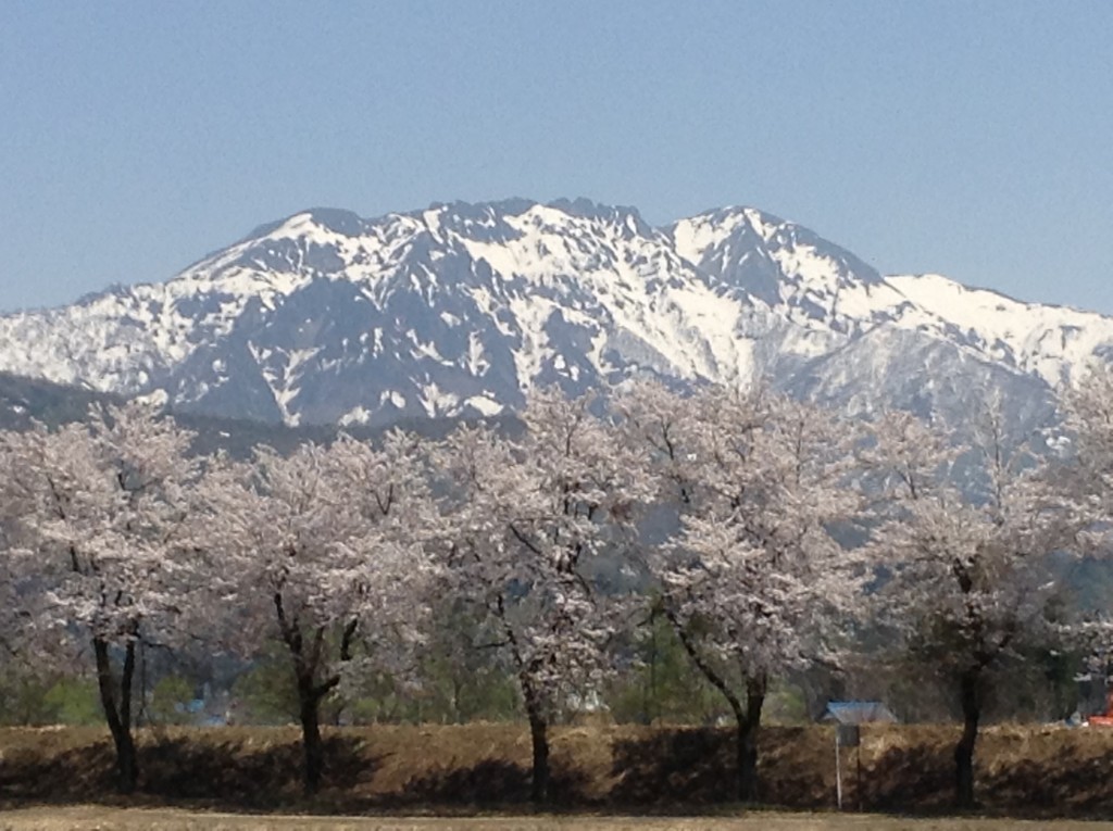 八海山に向かっての路上教習コース